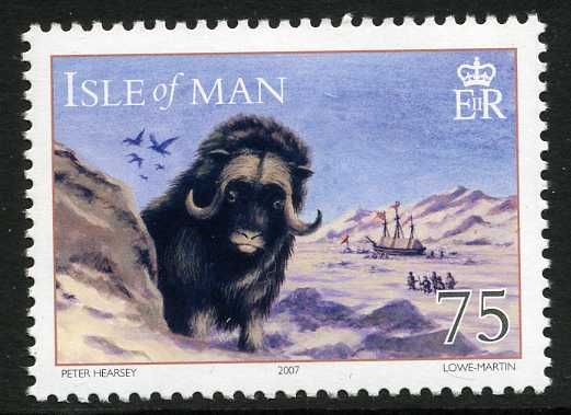 Muskox (Ovibos moschatus)