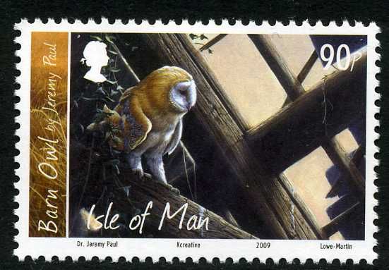 Western Barn Owl (Tyto alba)