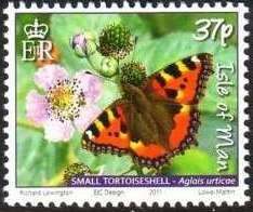 Small Tortoiseshell (Aglais urticae)