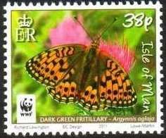 Dark Green Fritillary (Argynnis aglaja)