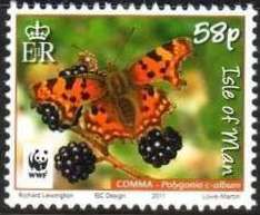 Comma (Polygonia c-album)