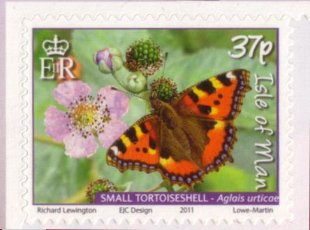 Small Tortoiseshell (Aglais urticae)