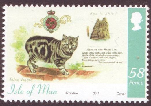 Tabby Manx Cat (Felis silvestris catus) on Wall