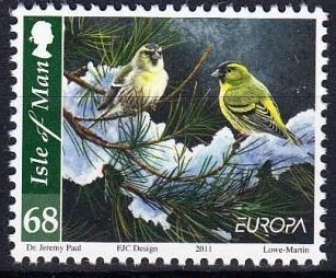 Siskin (Carduelis spinus)