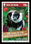 Black-and-white Ruffed Lemur (Varecia variegata)