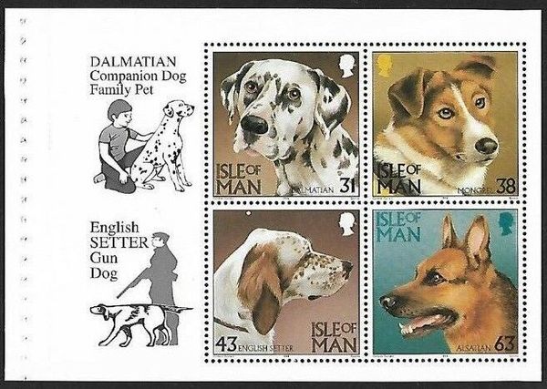 Dalmatian Companion Dog Family Pet; English Setter Gun Dog
