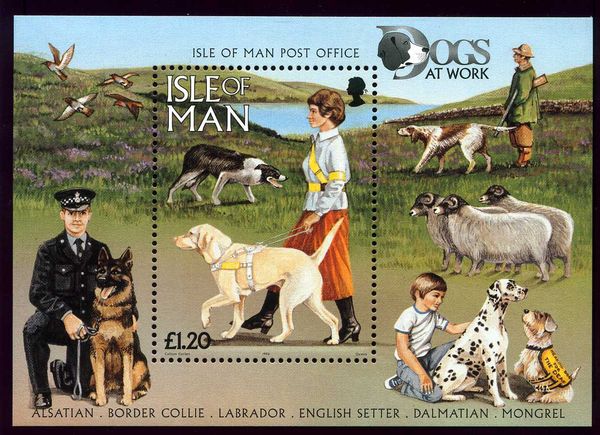 Alsatian, Border Collie, Labrador, English Setter, Dalmatian