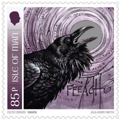 Raven (Corvus sp.)