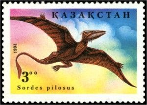 Sordes pilosus