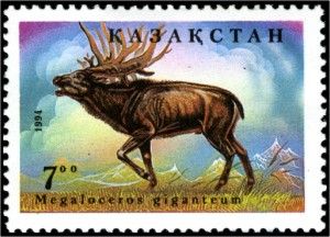 Irish Elk (Megaloceros giganteum)