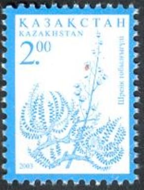 Spiraeanthus schrenkianus (Reissue)