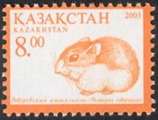 Roborovski’s Desert Hamster (Phodopus roborovskii) (Reissue)
