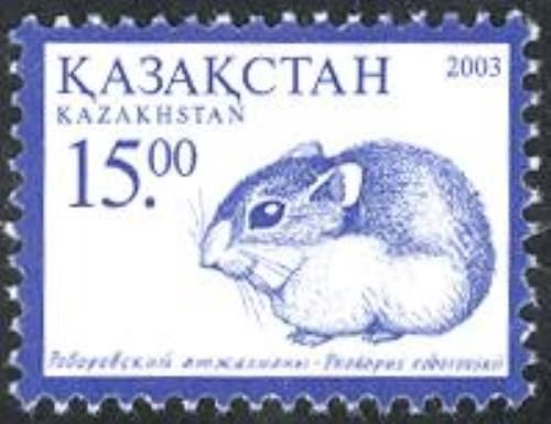 Roborovski’s Desert Hamster (Phodopus roborovskii) (Reissue)