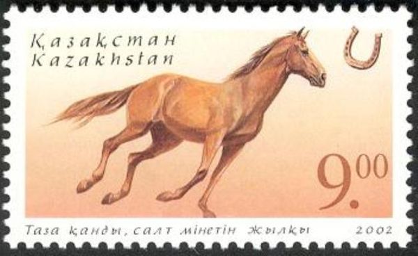 English Thoroughbred (Equus ferus caballus)