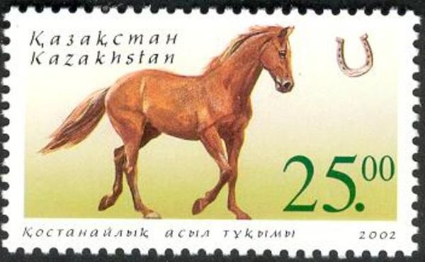Kustanai Horse (Equus ferus caballus)