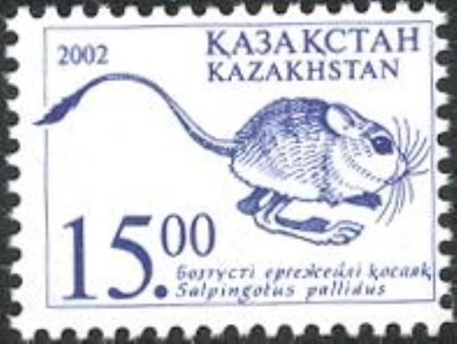 Pale Pygmy Jerboa (Salpingotus pallidus)