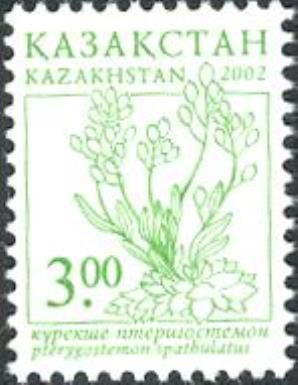Pterygostemon Spathulatus