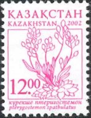 Pterygostemon Spathulatus