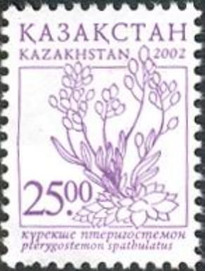 Pterygostemon Spathulatus