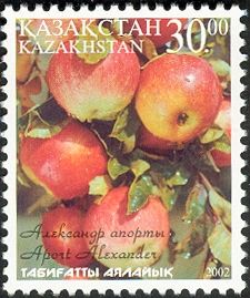 Apple (Malus domestica)