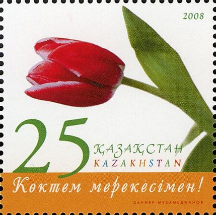 Tulip