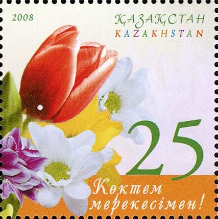 Tulip, White and Yellow Flowers