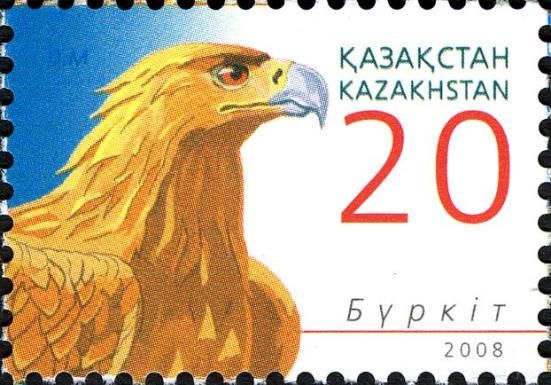Golden Eagle (Aquila chrysaetos)