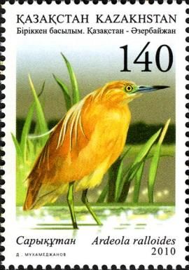 Squacco Heron (Ardeola ralloides)