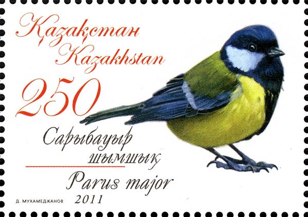Great Tit (Parus major)