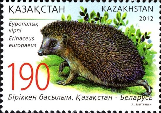 Northern White-breasted Hedgehog (Erinaceus concolor)