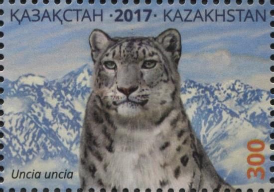 Snow Leopard (Uncia uncia), Mother (head & shoulders)