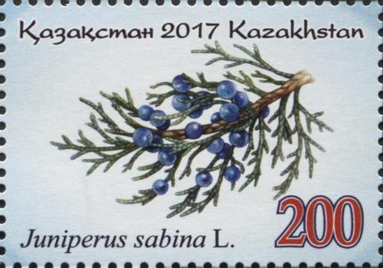 Juniperus sabina L.