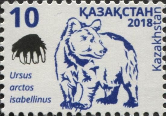 Himalayan Brown Bear (Ursus arctos isabellinus)