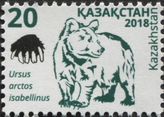 Himalayan Brown Bear (Ursus arctos isabellinus)