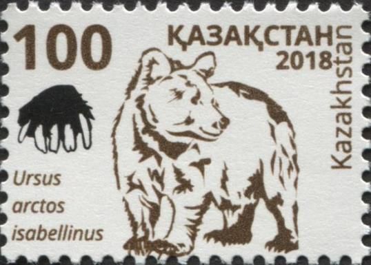 Himalayan Brown Bear (Ursus arctos isabellinus)
