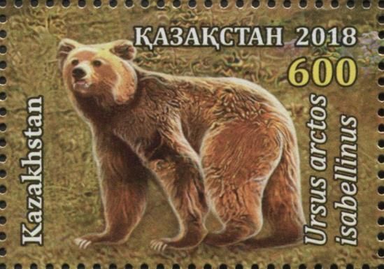 Himalayan Brown Bear (Ursus arctos isabellinus)