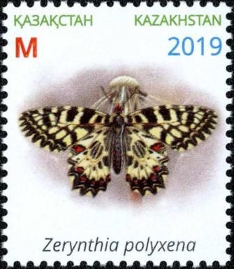 Zerynthia polyxena