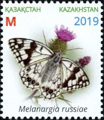 Esper's Marbled White (Melanargia russiae)
