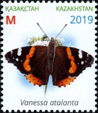 Red Admiral (Vanessa atalanta)