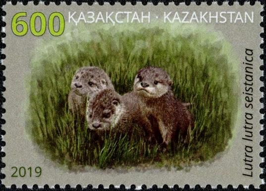 Eurasian River Otter (Lutra lutra seistanica)