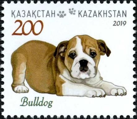Bulldog
