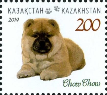 Chow Chow