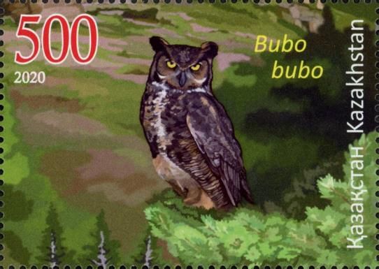 Eurasian Eagle-Owl (Bubo bubo)