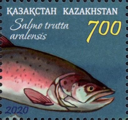 Brown Trout (Salmo trutta)
