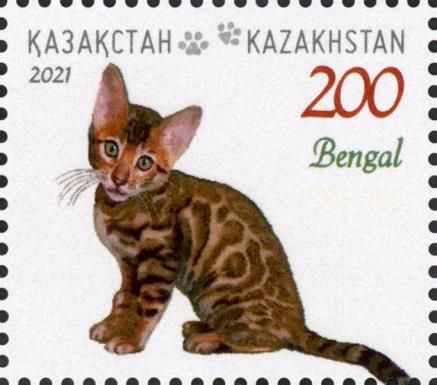 Bengal