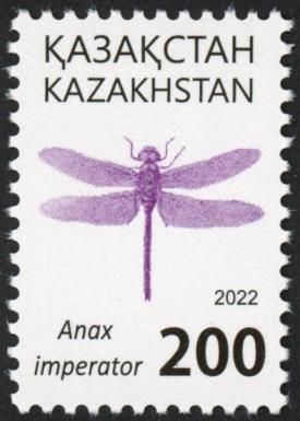 Blue Emperor Dragonfly (Anax imperator)