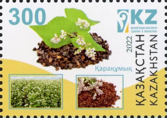 Buckwheat