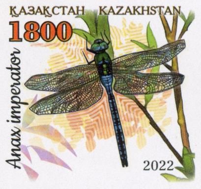 Emperor Dragonfly (Anax imperator)