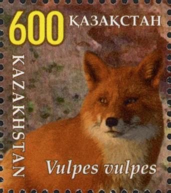 Red Fox (Vulpes vulpes)