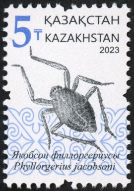 Phyllorgerius jacobsoni